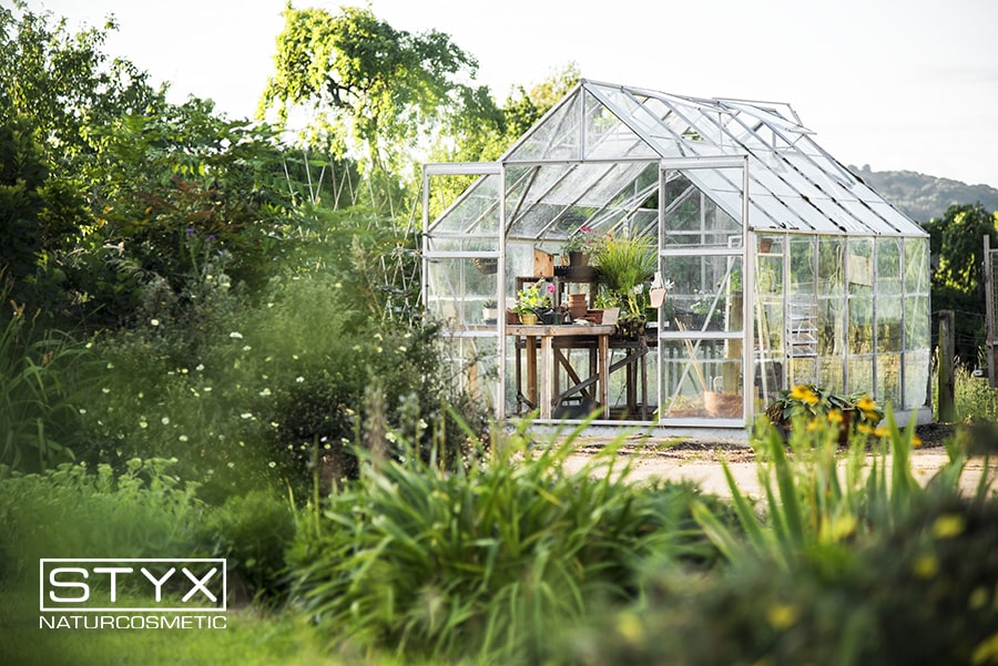 Удачи вам на даче! Удачи вам на даче!